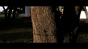 alltheboyslovemandylane10770.jpg