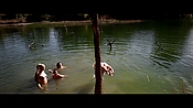 alltheboyslovemandylane12483.jpg