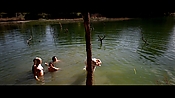 alltheboyslovemandylane12484.jpg