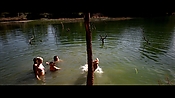alltheboyslovemandylane12486.jpg