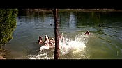 alltheboyslovemandylane12550.jpg