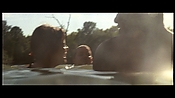 alltheboyslovemandylane12640.jpg