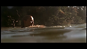 alltheboyslovemandylane12744.jpg