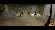 alltheboyslovemandylane12857.jpg
