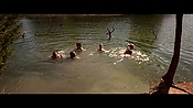 alltheboyslovemandylane12865.jpg