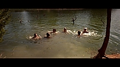alltheboyslovemandylane12898.jpg
