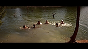 alltheboyslovemandylane12905.jpg