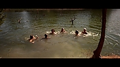 alltheboyslovemandylane12913.jpg