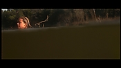 alltheboyslovemandylane12933.jpg