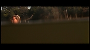 alltheboyslovemandylane12945.jpg