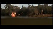 alltheboyslovemandylane12949.jpg