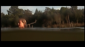 alltheboyslovemandylane12950.jpg