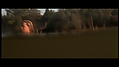alltheboyslovemandylane12953.jpg