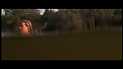 alltheboyslovemandylane12954.jpg