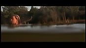 alltheboyslovemandylane12958.jpg