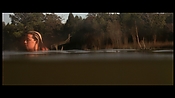 alltheboyslovemandylane12961.jpg