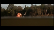 alltheboyslovemandylane12963.jpg