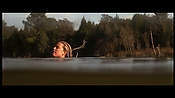 alltheboyslovemandylane12965.jpg