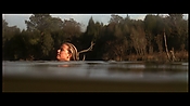 alltheboyslovemandylane12966.jpg