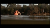 alltheboyslovemandylane12968.jpg
