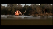 alltheboyslovemandylane12969.jpg