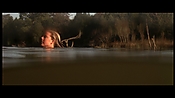 alltheboyslovemandylane12973.jpg