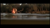 alltheboyslovemandylane12975.jpg