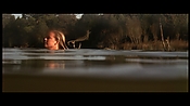 alltheboyslovemandylane12976.jpg