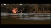 alltheboyslovemandylane12977.jpg