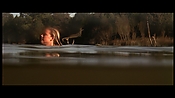 alltheboyslovemandylane12978.jpg
