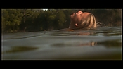 alltheboyslovemandylane12982.jpg