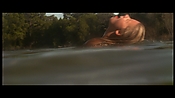 alltheboyslovemandylane12985.jpg