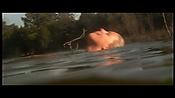 alltheboyslovemandylane13001.jpg