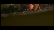 alltheboyslovemandylane13020.jpg