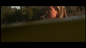 alltheboyslovemandylane13022.jpg