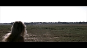alltheboyslovemandylane33191.jpg