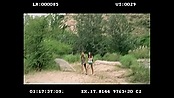 Filename=andsoonthedarkness_deletedscenes_2490.jpg
Filesize=258KiB
Dimensions=1920x1080
Date added=Jan 15, 2023 andsoonthedarkness_deletedscenes_2490.jpg