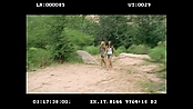 Filename=andsoonthedarkness_deletedscenes_2508.jpg
Filesize=231KiB
Dimensions=1920x1080
Date added=Jan 15, 2023 andsoonthedarkness_deletedscenes_2508.jpg