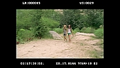 Filename=andsoonthedarkness_deletedscenes_2510.jpg
Filesize=242KiB
Dimensions=1920x1080
Date added=Jan 15, 2023 andsoonthedarkness_deletedscenes_2510.jpg