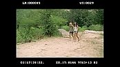 Filename=andsoonthedarkness_deletedscenes_2526.jpg
Filesize=248KiB
Dimensions=1920x1080
Date added=Jan 15, 2023 andsoonthedarkness_deletedscenes_2526.jpg
