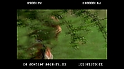 andsoonthedarkness_deletedscenes_2799.jpg