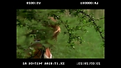 andsoonthedarkness_deletedscenes_2800.jpg