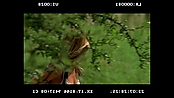 andsoonthedarkness_deletedscenes_2802.jpg