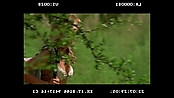 andsoonthedarkness_deletedscenes_2810.jpg