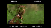 andsoonthedarkness_deletedscenes_2824.jpg