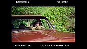 Filename=andsoonthedarkness_deletedscenes_5407.jpg
Filesize=302KiB
Dimensions=1920x1080
Date added=Jan 15, 2023 andsoonthedarkness_deletedscenes_5407.jpg