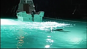 Filename=andsoonthedarkness_directorsvideodiary_5838.jpg
Filesize=84KiB
Dimensions=852x480
Date added=Jan 15, 2023 andsoonthedarkness_directorsvideodiary_5838.jpg