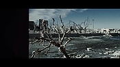 andsoonthedarkness43594.jpg
