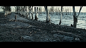 andsoonthedarkness44114.jpg