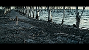 andsoonthedarkness44178.jpg